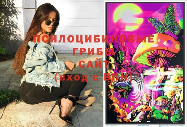 бошки Покачи