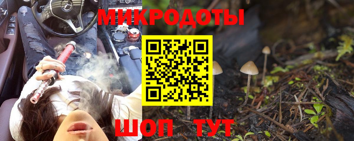 Россошь  Псилоцибиновые грибы GOLDEN TEACHER  Вход с VPN 